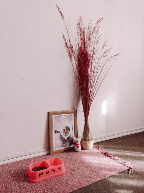 How to Set Up a Cozy and Pet-Friendly Home Corner